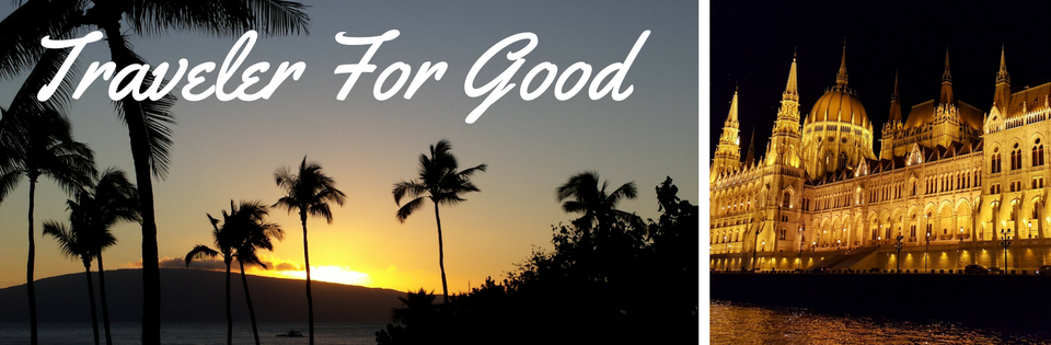 Traveler For Good